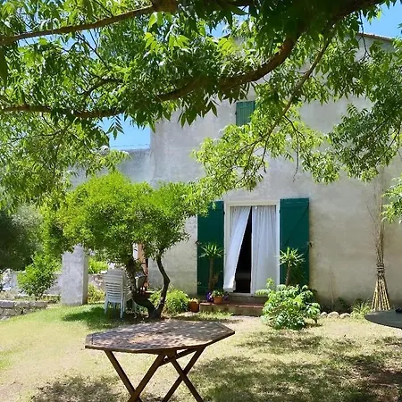 Апартаменти 75m2 Avec Terrasse Et Jardin Аяччо